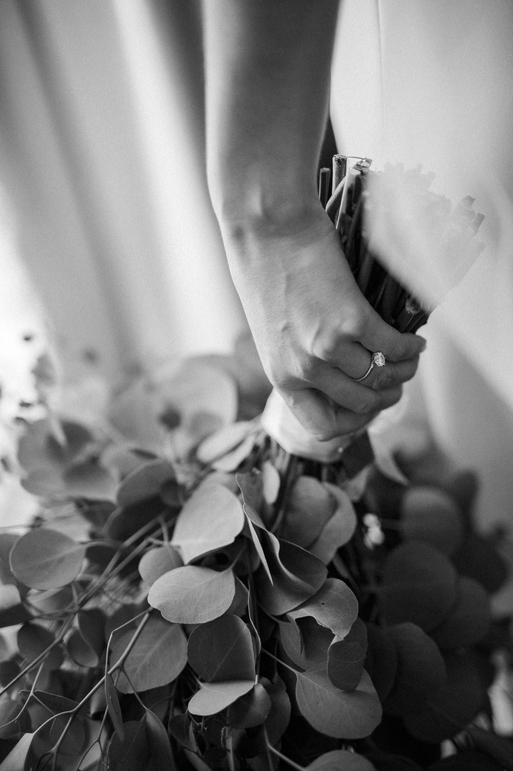 Mano sosteniendo ramo de eucalipto, anillo visible